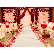 Mickey And Minnie Mouse Photo Backdrop For Wedding