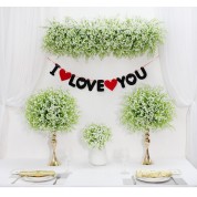 Hutterites Wedding Decorations